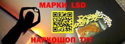 индика Новозыбков
