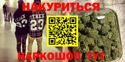 индика Новозыбков