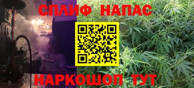 индика Новозыбков