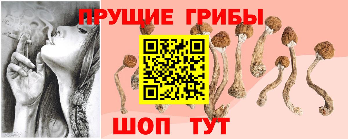 Псилоцибиновые грибы прущие грибы  Вход с VPN  Урай 